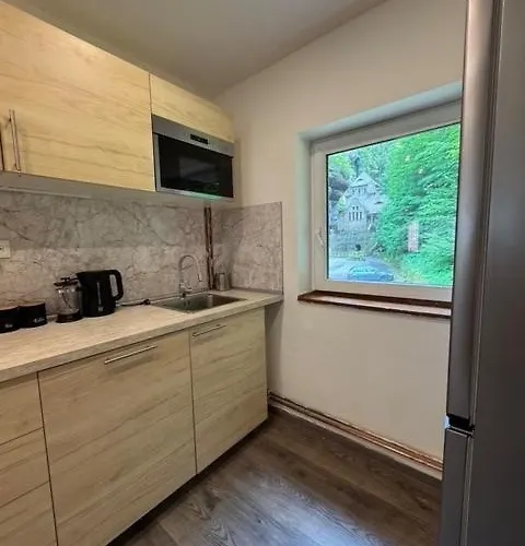Apartamento U Staré Plynárny *